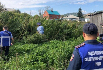 В Акмолинской области полицейские ликвидировали плантацию конопли