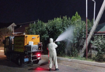 В Алматы по утрам будут обрабатывать зеленые насаждения