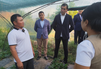 Президент Жолдауында айтылған «Агросауат» орталығы қалай жұмыс істейді