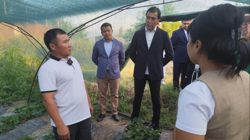  «Қарызсыз қоғам» 