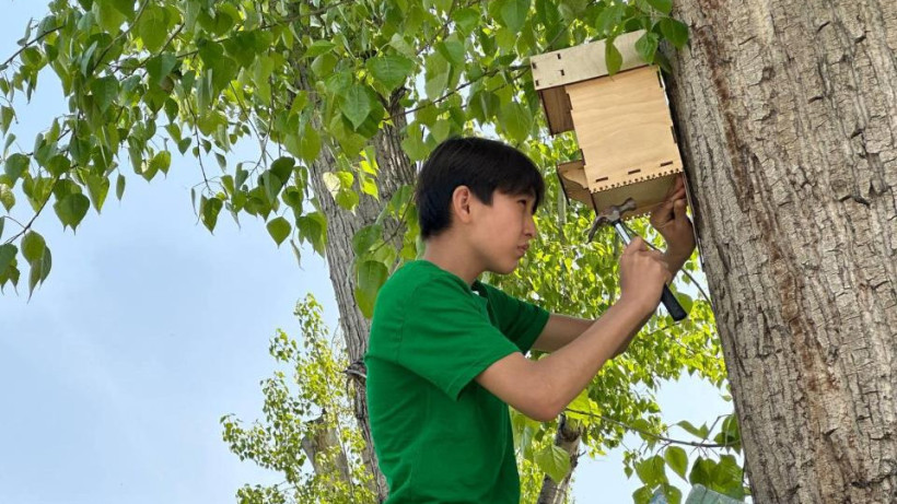  © акимат Алматинской области 