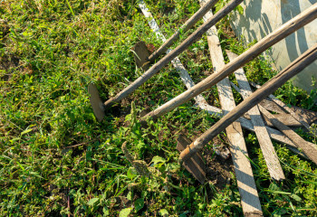 Картофель для чипсов мирового бренда выращивают в Карагандинской области