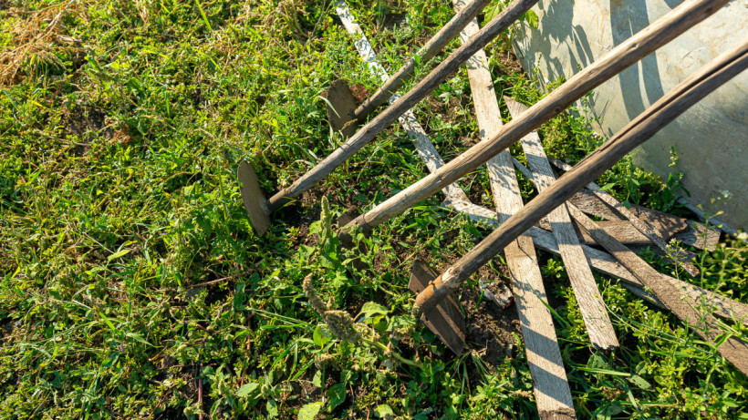  © El.kz / Артем ЧУРСИНОВ 