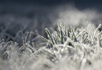 «2 градусқа дейін аяз». Алдағы күндері ауа райы қандай болады