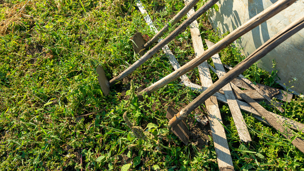  © El.kz / Артем ЧУРСИНОВ 