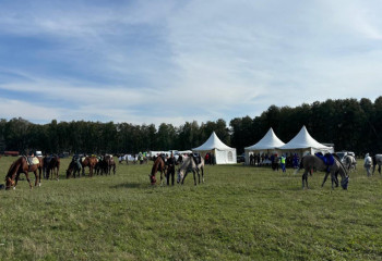 В Астане пройдут V Всемирные игры кочевников: грандиозное событие этнических видов спорта