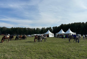 Astana to host V World Nomad Games: grand event of ethnic sports