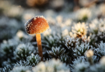 «3 градусқа дейін аяз». Демалыс күндері ауа райы тұрақсыз болады