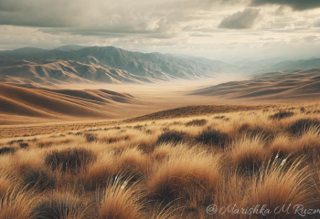 В Жамбылской области возвращено 2,7 тыс. га неиспользуемых земельных участков