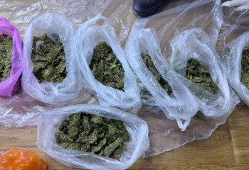 Полиция ликвидировала фитолабораторию в частном доме Алматинской области