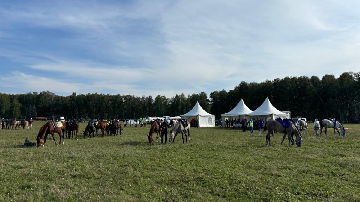  Kazakh Ministry of Culture and Information 