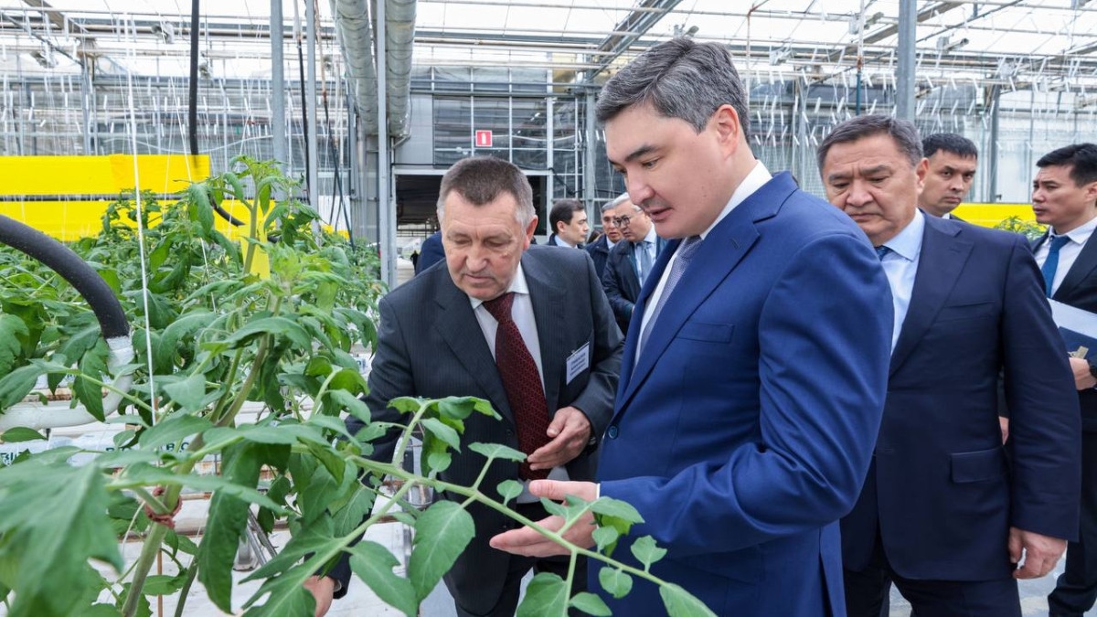  пресс-служба Правительства РК 