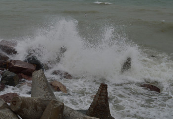 Четыре человека погибли из-за тайфуна 