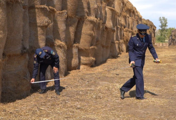 В ВКО начались уничтожающие заготовленное сено пожары