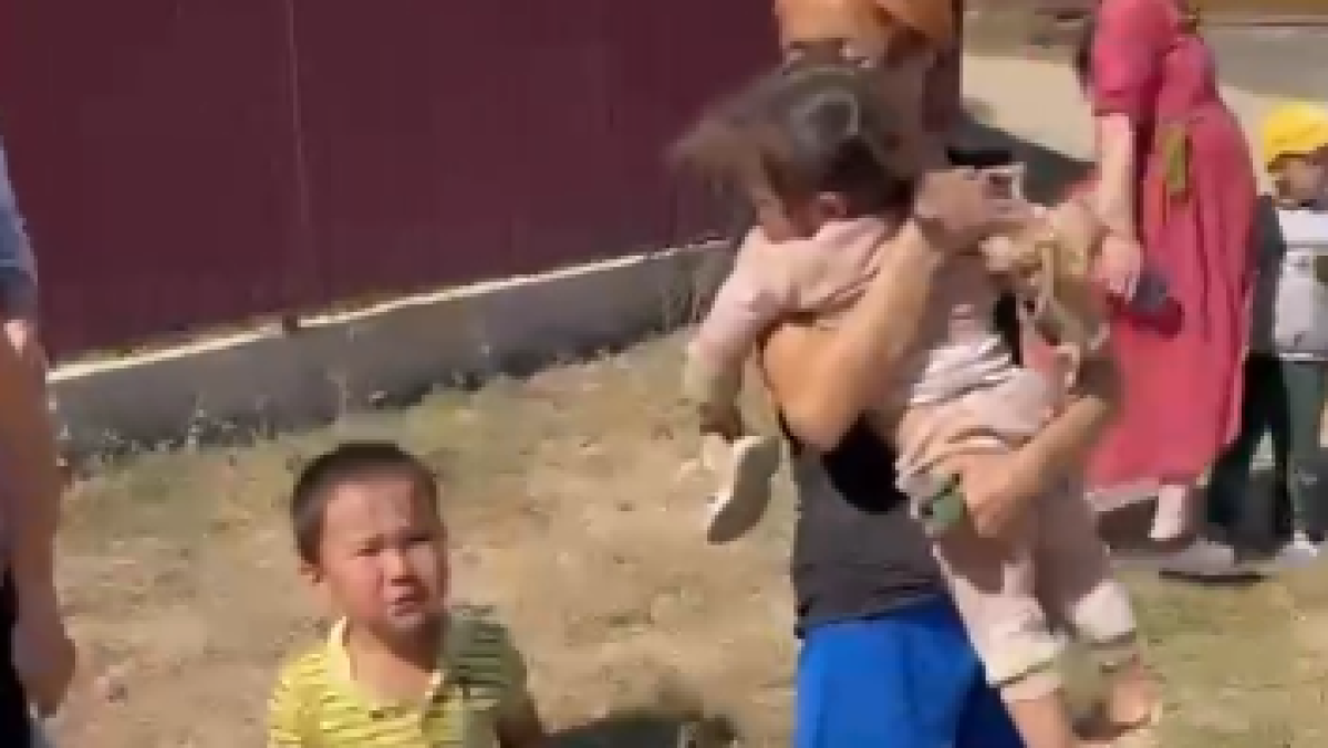  Видеодан кадр 