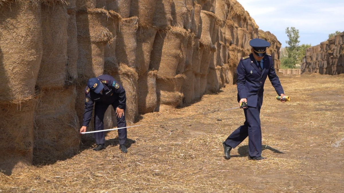  © Пресс-служба ДЧС ВКО 