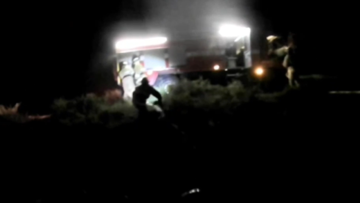  Видеодан кадр 