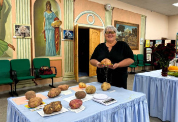 Самую большую картофелину выбрали в ВКО