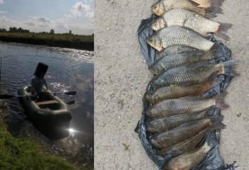 Павлодар облысында табиғат қорғау заңнамасын бұзудың 48 фактісі тіркелді