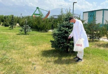 Осенняя дератизация в Алматы охватит порядка 50 тыс. га