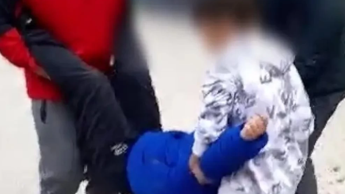  Видеодан кадр 