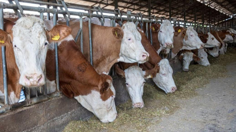  Министерство сельского хозяйства Республики Казахстан 