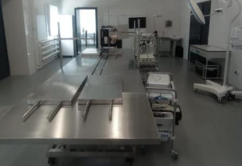 Mobile veterinary service  created for animals at World Nomad Games