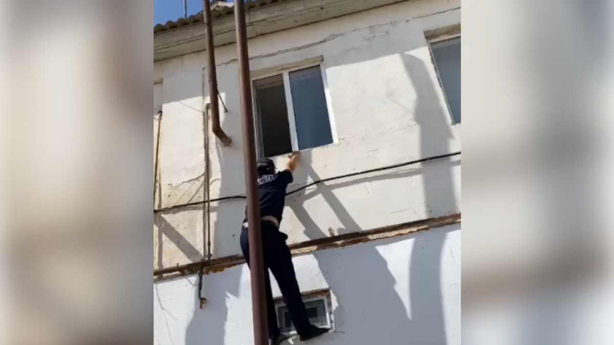  Видеодан кадр 