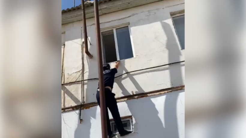  Видеодан кадр 