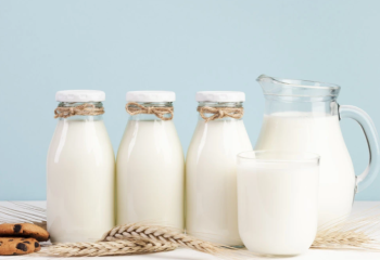 QazaqSut Дүниежүзілік симментальды тұқым федерациясына кірді