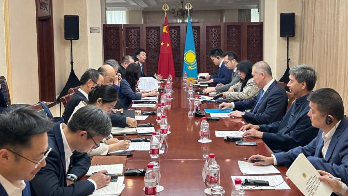 Chinese experts highly appreciate Address of President of Kazakhstan