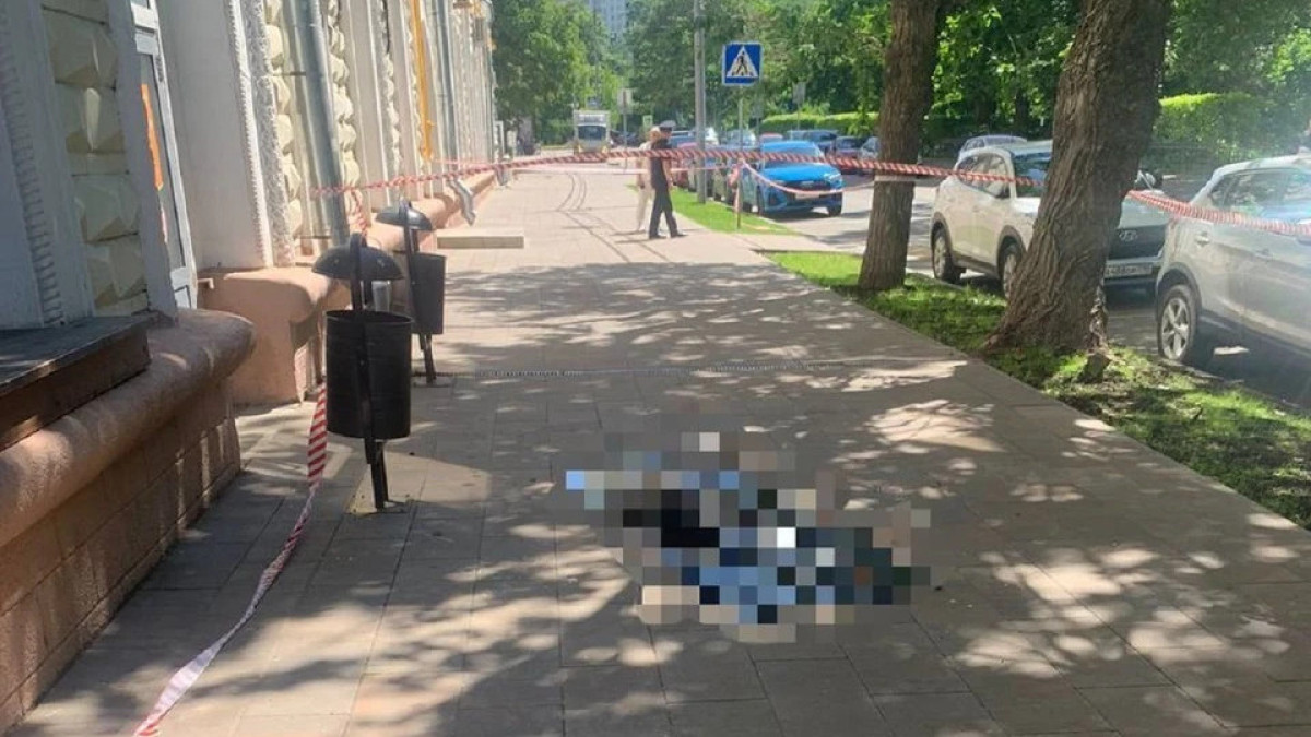  видеодан кадр 