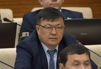 Ұшақтың бағасы күн санап аспандап барады - депутат