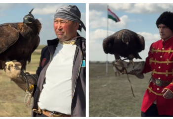 В этноауле «Вселенная кочевников» стартовали соревнования с ловчими птицами «Құсбегілік»