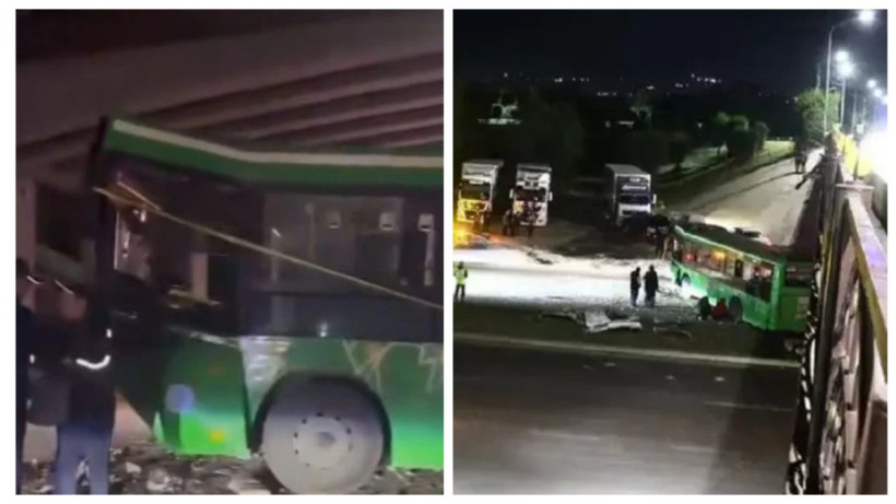  видеодан кадр 