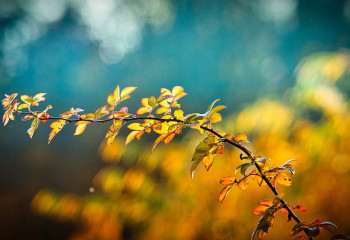 «+32°С». Алдағы күндері ауа температурасы көтеріледі