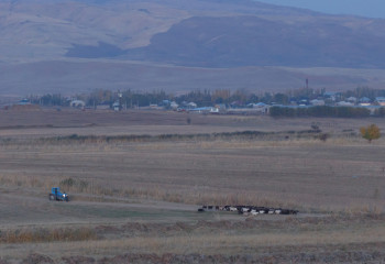 Земли почти на полмиллиона тенге вернули в госсобственность в СКО