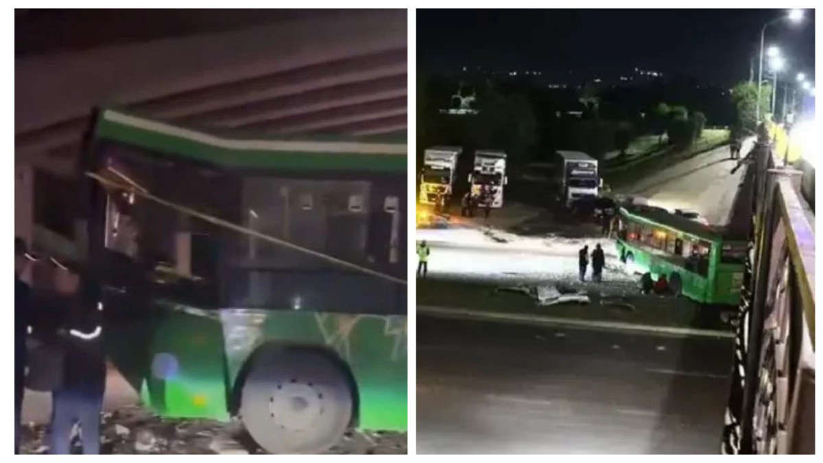  видеодан кадр 