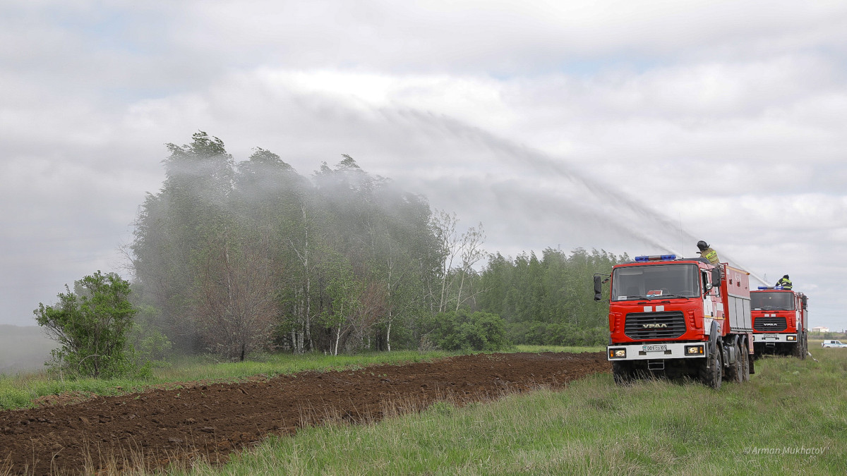  El.kz/Арман Мухатов 