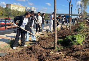 «Таза Қазақстан»: в Астане вдоль реки Акбулак посажены сотни деревьев