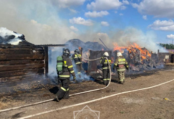 Горящее сено потушили в области Улытау