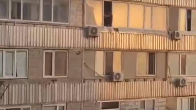  Видеодан кадр 