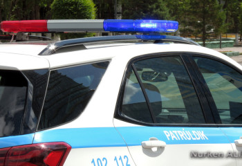 Молодой водитель погиб в Алматинской области, въехав в дерево