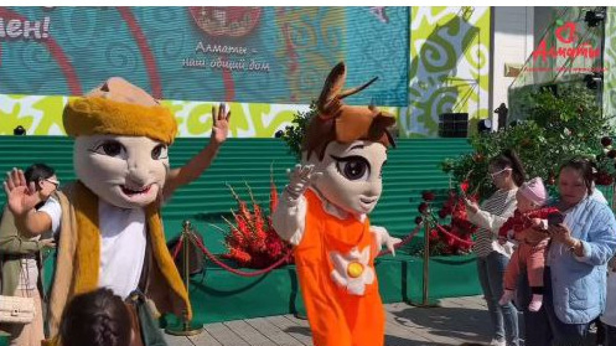  Видеодан кадр 