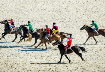 Маңғыстауда ұлттық спортқа бөлінген 117 млн талан-таражға түскен