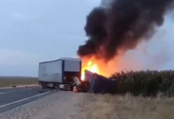 Жамбыл облысында жол апатынан жеті адам көз жұмды