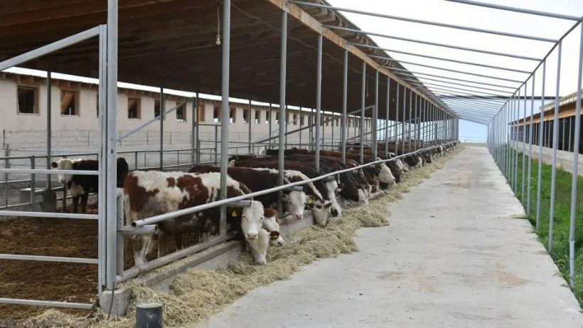  Министерство сельского хозяйства РК 