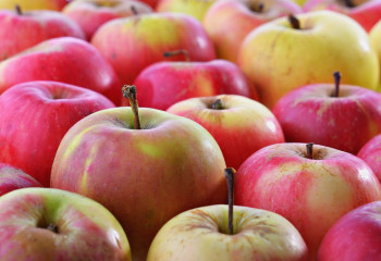 Астанада демалыс күндері ауыл шаруашылығы жәрмеңкелері басталады