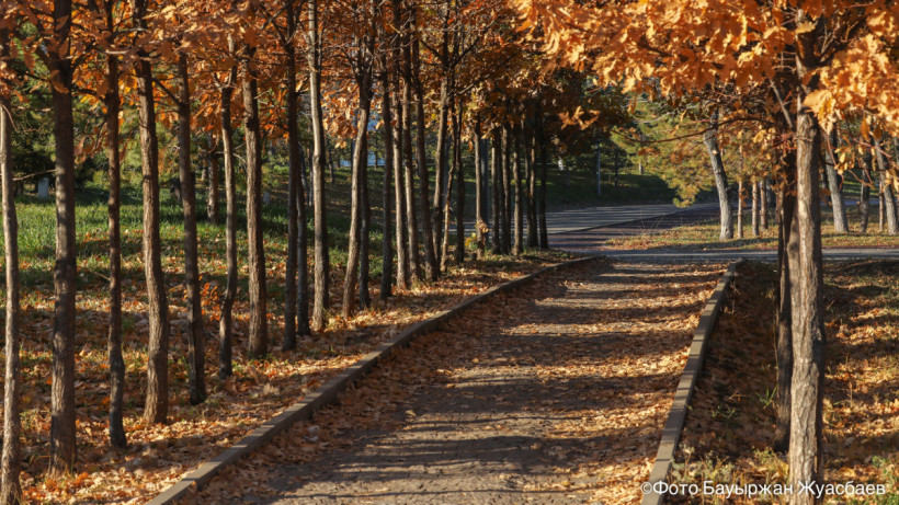  ©El.kz/Бауыржан ЖУАСБАЕВ 