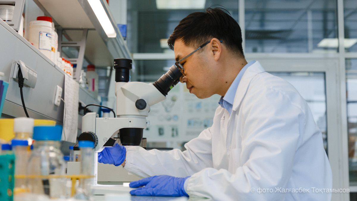  El.kz/Жалгасбек Токтамысов 